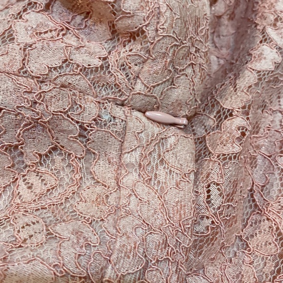 Aritzia Babaton pink lace midi skirt - Picture 6 of 12